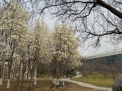 -石家庄市植物园