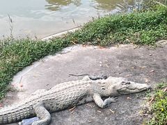 -泉州海丝野生动物世界