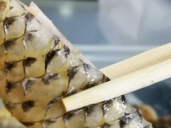 -无影脚佛山陈氏盲公丸始创店(飞鸿街店)