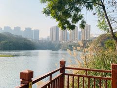 -重庆彩云湖湿地公园