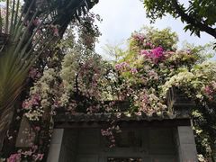 -深圳国际园林花卉博览园