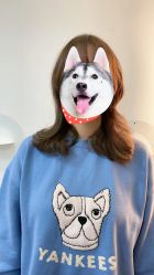 -MAGIC米几发型设计·羊毛卷