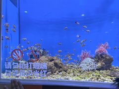 -临沂极地海洋王国