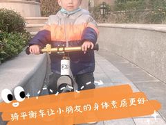 -稚马儿童平衡车自行车俱乐部