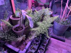 -青木造型HAIR·あおき髪を刈る潮人店