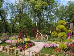 -上海共青森林公园