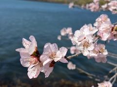 -颐和园
