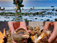 -前王院•巧克力海鲜市集餐厅(万平口店)