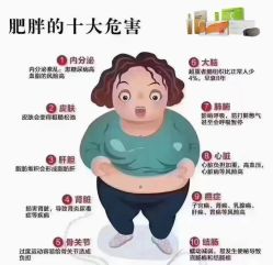 -香薇妮丝女子减肥院