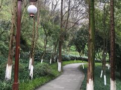 -重庆彩云湖湿地公园