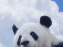 -喜来稀肉(北外滩白玉兰广场店)