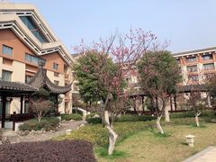 -嘉兴清池酒店温泉