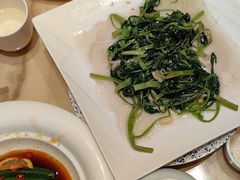-锦粤宫·精致粤菜(深圳北站店)