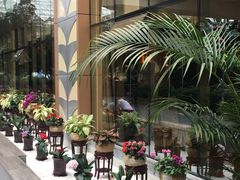 -北国之春国宴(乌兰察布店)