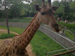 -石家庄市动物园