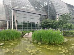 -南山植物园