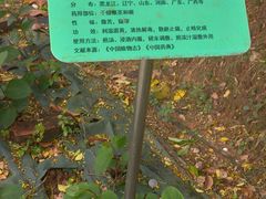 -广东中医药博物馆