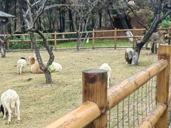 -茅山东方盐湖城景区