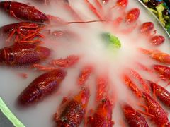 -红盔甲·小龙虾(天钥桥店)
