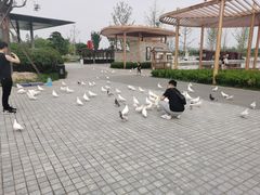 -秦文明广场