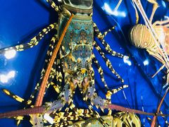 -三亚火车头万人海鲜广场