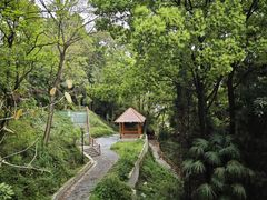 -南山植物园