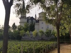 -北京张裕爱斐堡酒庄