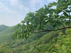 -皇藏峪国家森林公园
