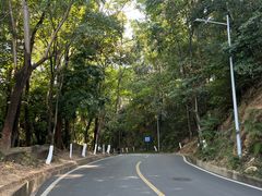 -火炉山森林公园
