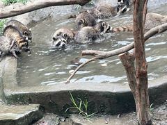 -宁波野生动物园