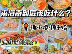 -椰小鸡·琼州糟粕醋(美兰缤纷城店)