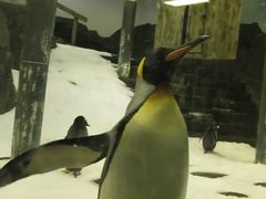 -悉尼海洋生物水族馆
