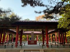 -青城公园