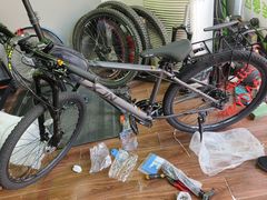 -道路口单车爱瓦士dahon大行