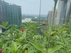 -漪龙台·B26 Rooftop Lounge