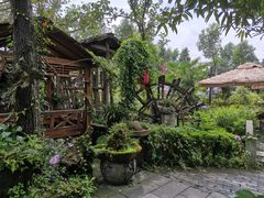 -青城甲(青城山店)