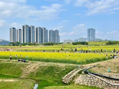 -光明小镇欢乐田园