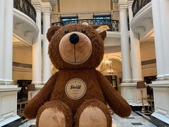 -Salon de Ville浦江汇(上海外滩华尔道夫酒店店)