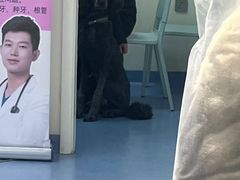 -全心全意动物诊疗中心医院(北苑店)