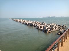 -东疆建设开发纪念公园