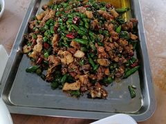 -铁山坪森林公园