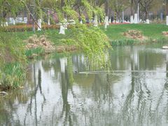 -阳澄湖费尔蒙酒店