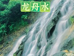 -广州白江湖森林公园