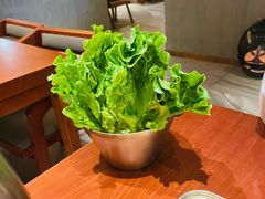 生菜-春熙台韩国料理·章鱼肥牛(西丽店)