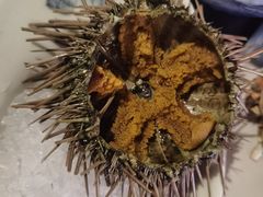 海胆-海鼎荟海鲜姿造(仟禧汇店)