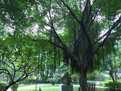 -广西大学(大学东路校区)