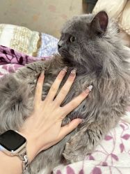 -UGIRL有个美甲