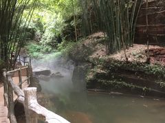 -川西竹海景区