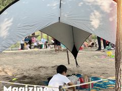 -东郊湿地公园