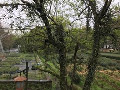 -随意茶庄·地道杭帮农家菜(梅家坞店)